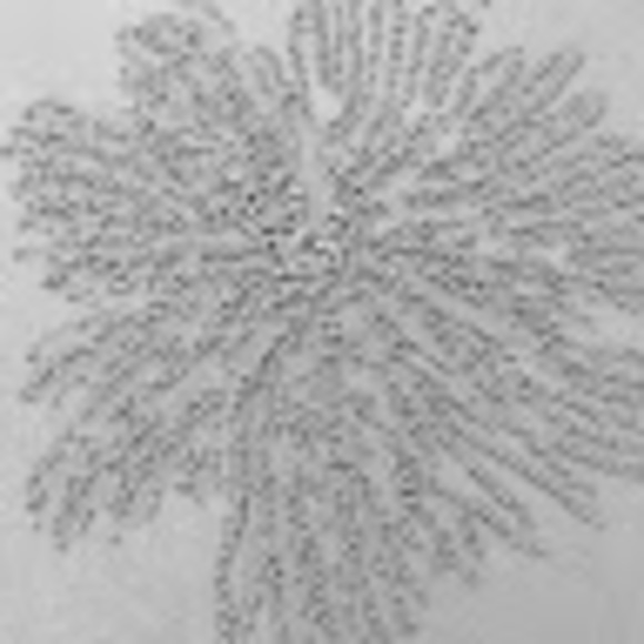 Meet your Posher, Steph - Picture 1 of 1